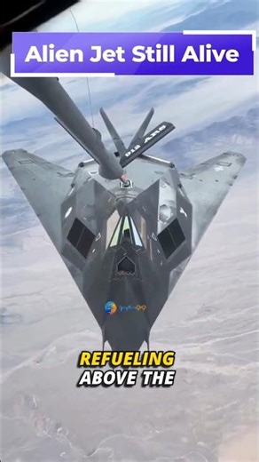 Alien Jet Still Alive: F-117 Nighthawk in Action
