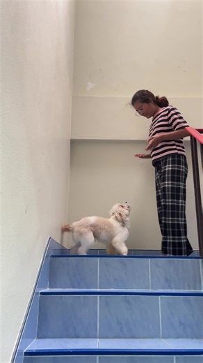 lukpla บน TikTok