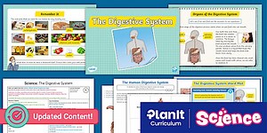 Science: Animals Including Humans: The Digestive System Year 4 Lesson 1