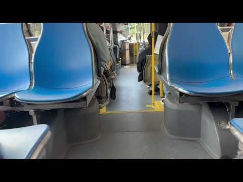 Metrobus Transit St.John’s 2445 2024 HEV Nova LFS Route 22 Mount Pearl Donovan’s + New Route 34