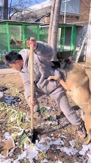 The Ultimate Shovel Fail Chain Reaction! ❄️🐶😂