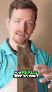 Master Plastering: Pro Secrets for Flawless Walls SECRETS REVEALED! #shorts