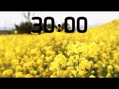 30 MINUTE SPRING TIMER: Countdown Timer with Music
