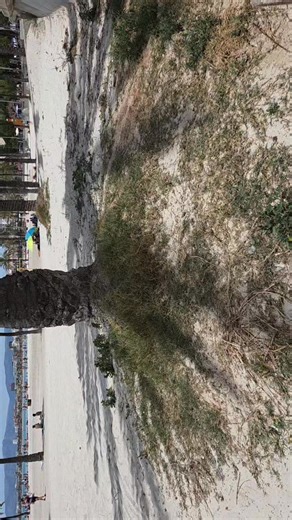 Good morning from paradies, have a wonderful day. Greetings from Playa de Palma on Mallorca 🌴🌞 | Playa de Palma, Mallorca