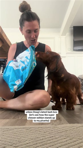 Super Chewer BarkBox Review for Tough Dogs