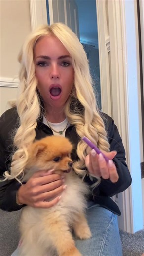 Pup date ….. thank you everyone for the advice, currently outside the vets now waiting to go in! . . . #pupdate #pomeranianlove #pompom #advicetok #mumsontiktok