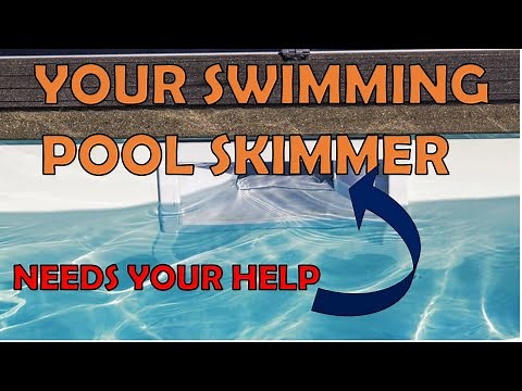 What's The Purpose Of a Pool Skimmer Door?