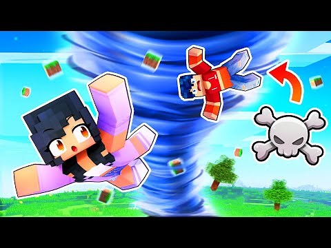 A Minecraft TORNADO Ruined Everything!