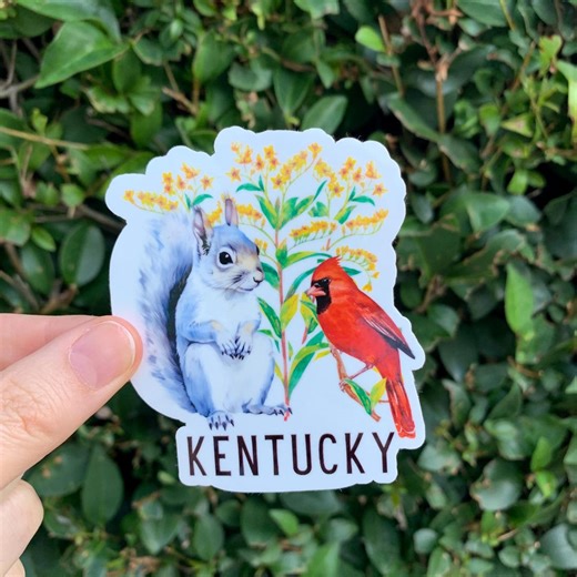 Kentucky Sticker, State Sticker, Kentucky Gift, Kentucky Squirrel Sticker - Etsy