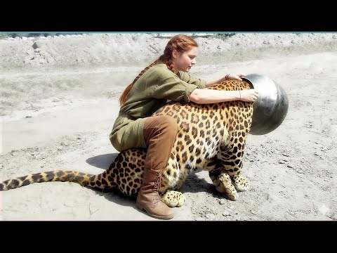 Animals That Asked People for Help & Kindness Compilation 2025! Ep1