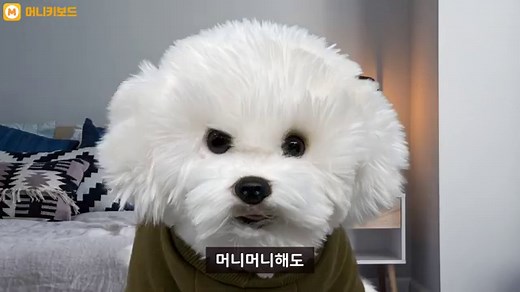 앱테크 위한 돈버는 어플 앱 추천 TOP 20+