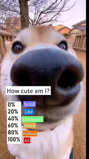 bfgqad2 (@bfgqad2)’s videos with Little Do You Know (Speed Up) - Alex & Sierra