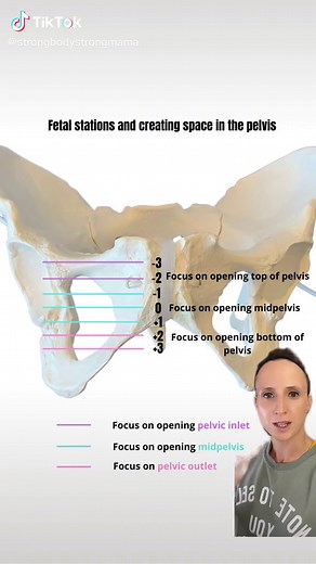 Optimizing Pelvic Space for Labor: Baby's Station in the Pelvis