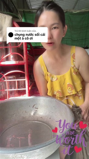 Cách bắt muỗi hiệu quả: mẹo dân gian và thiết bị phổ biến
