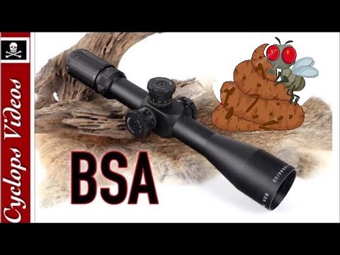 BSA Scope Review