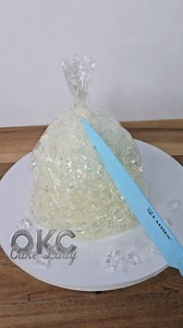 Bag of Ice! Any ice eaters? #cake #cakedecorating #art #artist #baking | OKC Cake Lady