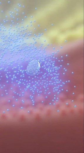 “What Happens After You Take a Tablet? | How Medicine Works in the Body”