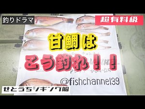22【保存版】ほんとは教えたくない！甘鯛釣りの釣果アップの秘訣、全て教えます！！釣り動画とともにまとめました。〜in瀬戸内海・山口県上関〜2024.04.27 #タイラバ #howto #釣り