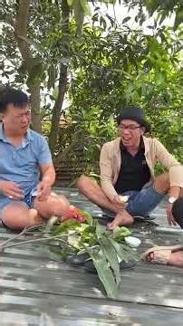 Như Vậy Mà Nó Cũng Bị Lừa #anhbovo #shorts #amthuc #monngon #amthucvietnam #nauan #food