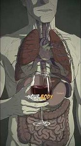 What happens when you stop drinking alcohol for 30 days.