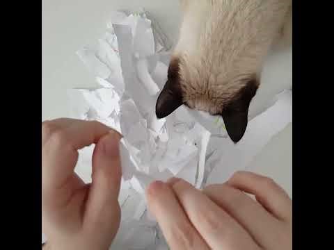Warning: Extremely Crisp Paper Tearing ASMR