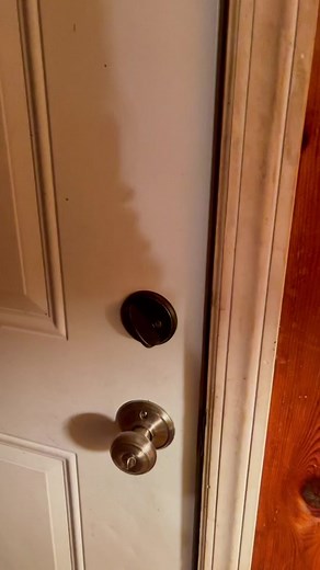 Mr. Doorman Bear Closing Front Door