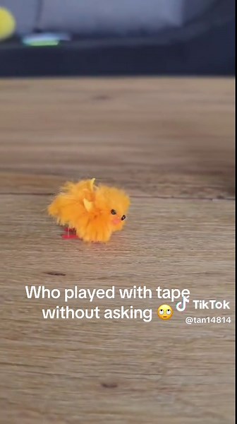 The Tape Incident: A Funny Moment Unveiled