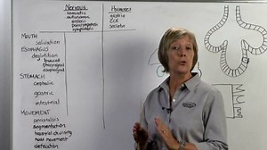 DIGESTION 5. Control of Digestion