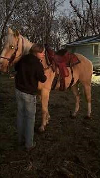 Mounting horse tutorial