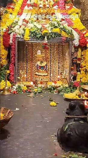 Shri Kaadumalleshwara Swamy Temple 🔱🌸- ಕಾರ್ತಿಕ ಸೋಮವಾರ #shorts #shiva #malleshwaram #kadumalleshwara