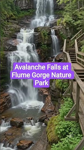 Avalanche Falls #waterfall #avalanche #franconia #park