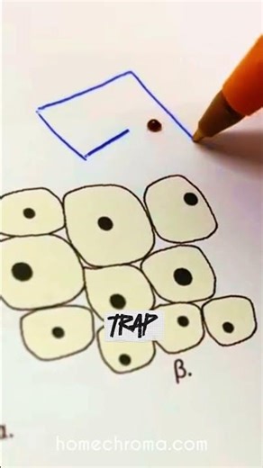 Most Unexpected Homework Escape ✏️ (arixcvh/TT)