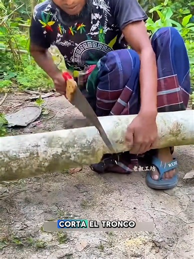 Cerca de Bambú: Paso a Paso