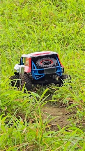 Off-roading in Nature with these RC Cars is an extremely Satisfying and Peaceful experience #rccar