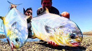 Pescaria de peixe grande nas pedras!! #Peixegrande #pescaria #rockfishing #mar | Pesca Afiada