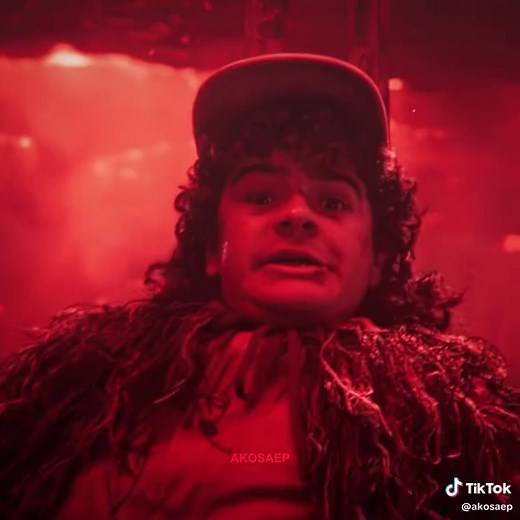 Stranger Things Season 5 Finale: Steve and Dustin Moments