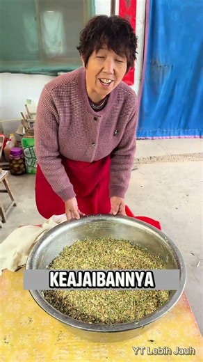 Proses Cerdas Mengubah Ketan Jadi Gula. #faktaunik
