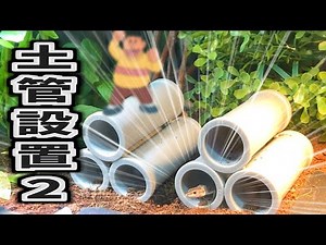 百均の土管の中に入ったカナヘビ❗🦎【爬虫類・ニホンカナヘビ・飼育・セリア】