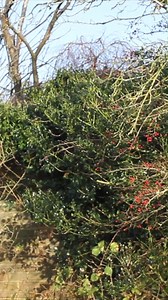 Tablet VS Paintball #slowmotion #physics | The Slow Mo Guys