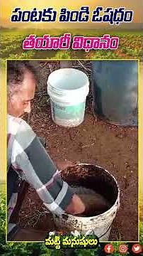 మొక్కలకు పిండి ఔషధం #organicfarming #naturalfarming