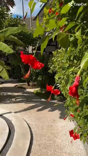 🌴 Take Advantage of Bali’s Quiet Season 🌺 Now is the perfect time to escape the crowds and unwind at Bali Hotel Pearl — your peaceful adults-only oasis in the heart of Legian. Following the kind feedback of our loyal guests, we’ve made several improvements for your comfort — including enhanced bedding for even sweeter dreams 😴 and a few lovely surprises waiting just for you! Come and experience the tranquil side of Bali, where serenity meets authentic charm. 📍 Book directly with us for the b