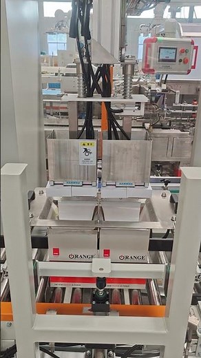Servo Pick and Place Case Packer | Automatic Carton Packing Machine #case packer