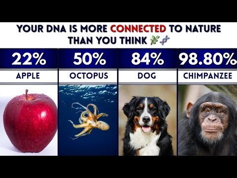 Top 50 DNA Similarities Between Humans and Other Species | Timeline Facts 50