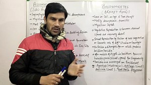 Kingdom Fungi(Part:6)-(Ascomycetes& Basidiomycetes)