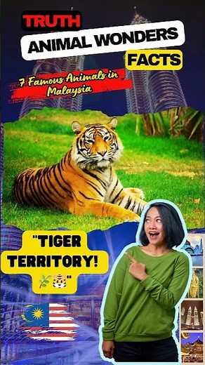 Listen to the Majestic Malayan Tiger Roar