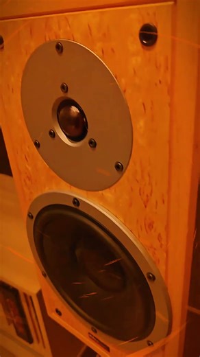 That bass control 🤩🔈🎶 #Dynaudio #soundofsilence #superspike