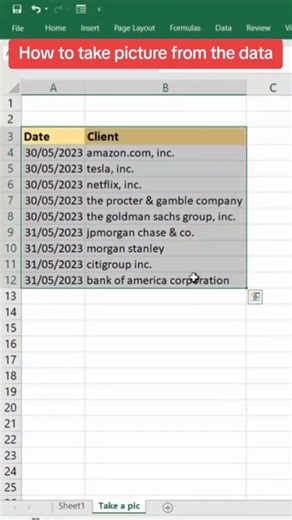 How to take picture from the data in excel. #datacleaning #excel #dataanalysis