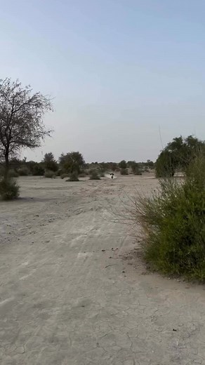 2.7M views · 133K reactions | #amanchang #changsahb #desert | Aman chang | Facebook