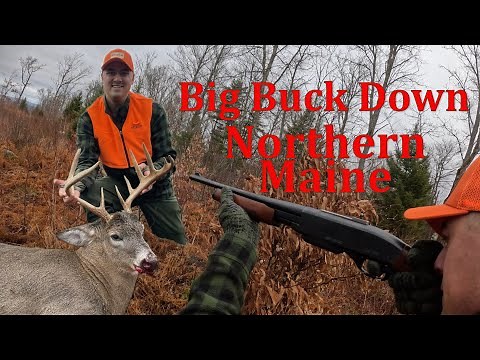 Still Hunting a 200+ Pound Maine Monster | 2024 Maine Deer Season