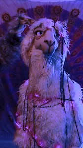 Fa la la la llama... have a M A N I A Christmas 💜 | Fall Out Boy